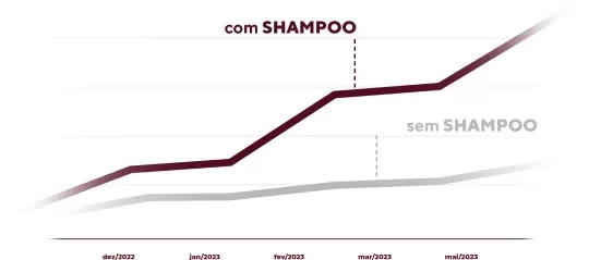 shampoo antiqueda barba negra